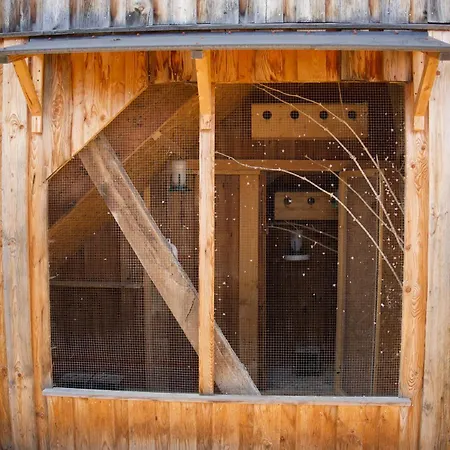 Peters Апартаменты