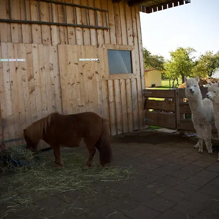 Peters Апартаменты *