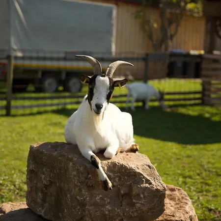 Апартаменты Peters Хюнфельд