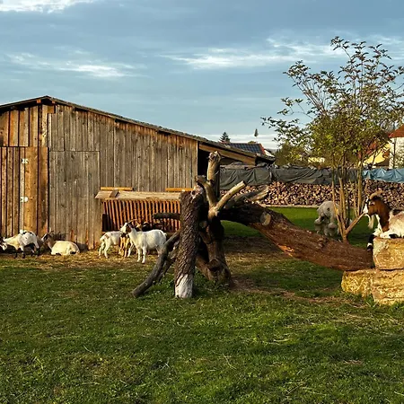 Peters Хюнфельд