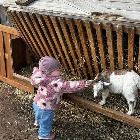 Апартаменты Peters *