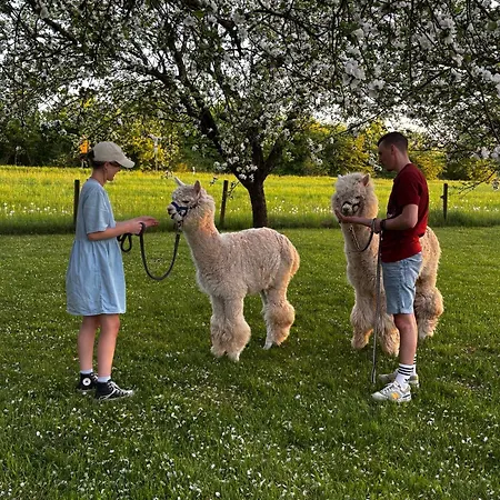 Apartment Peters Hünfeld