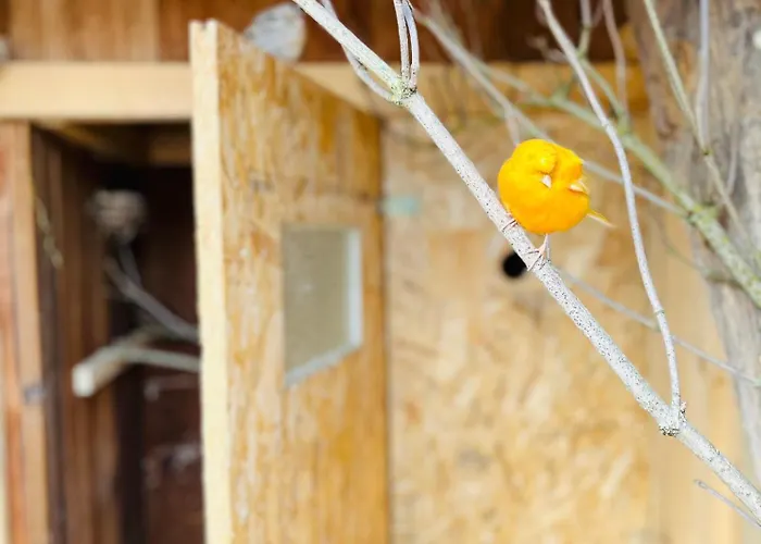 アパート Peters *