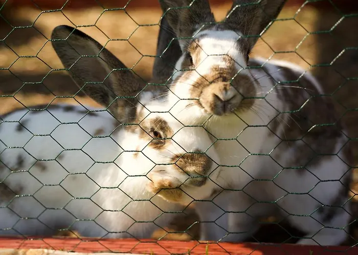 アパート Peters *