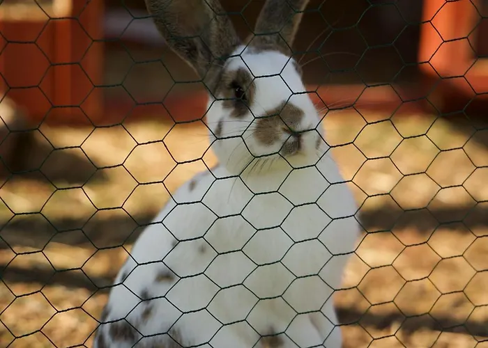 アパート Peters Hünfeld