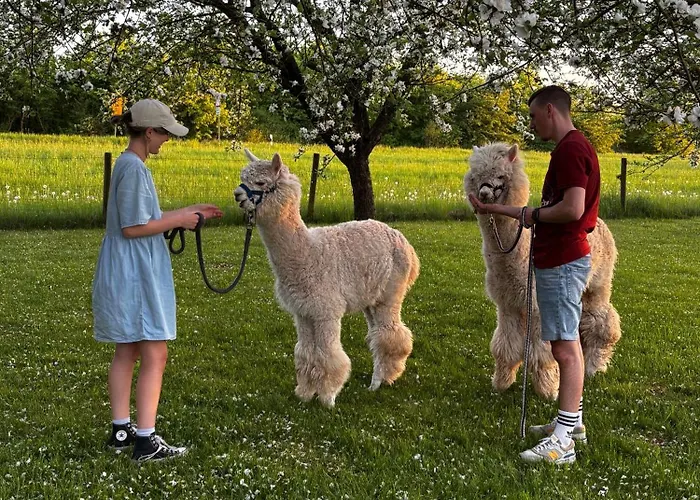 アパート Peters Hünfeld