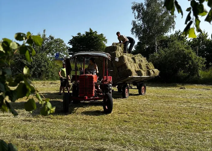 Peters アパート Hünfeld